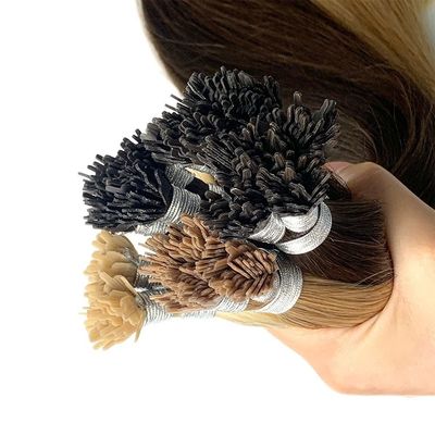 Nano-stick russo Y-tip Extensões de cabelo humano com dupla proporção de desenho YTIP-231012