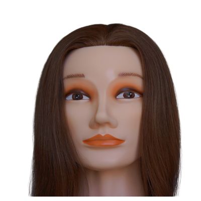 Cabeça de manequim com cabelo para trás e cabelo humano