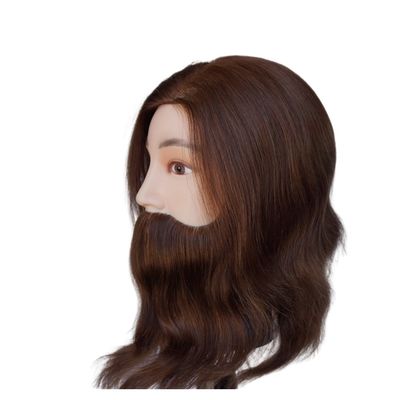 Homem manequim cabeça com barba manequim de formação de cabeleireiro profissional